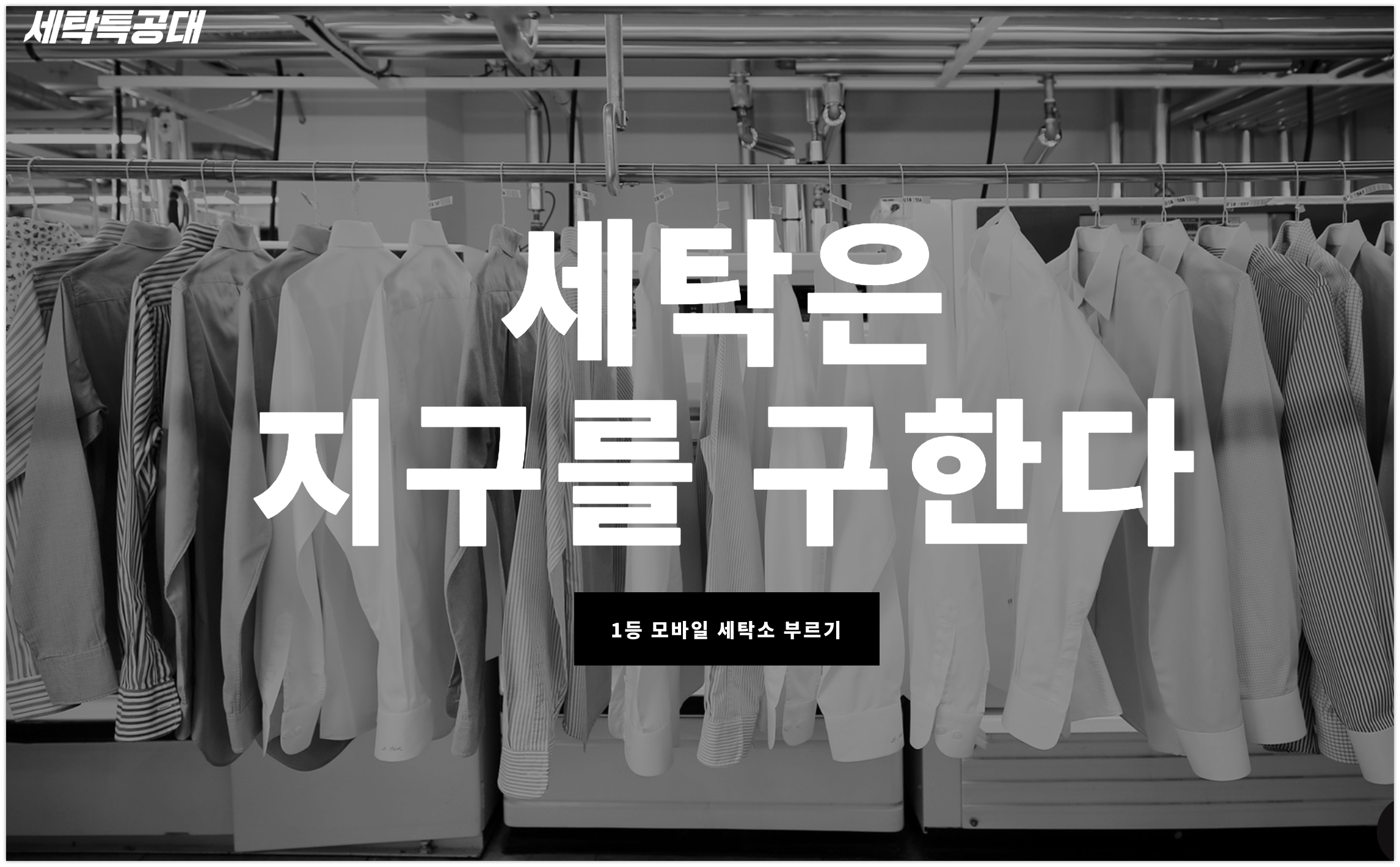 20190822 세탁특공대 - 와우테일