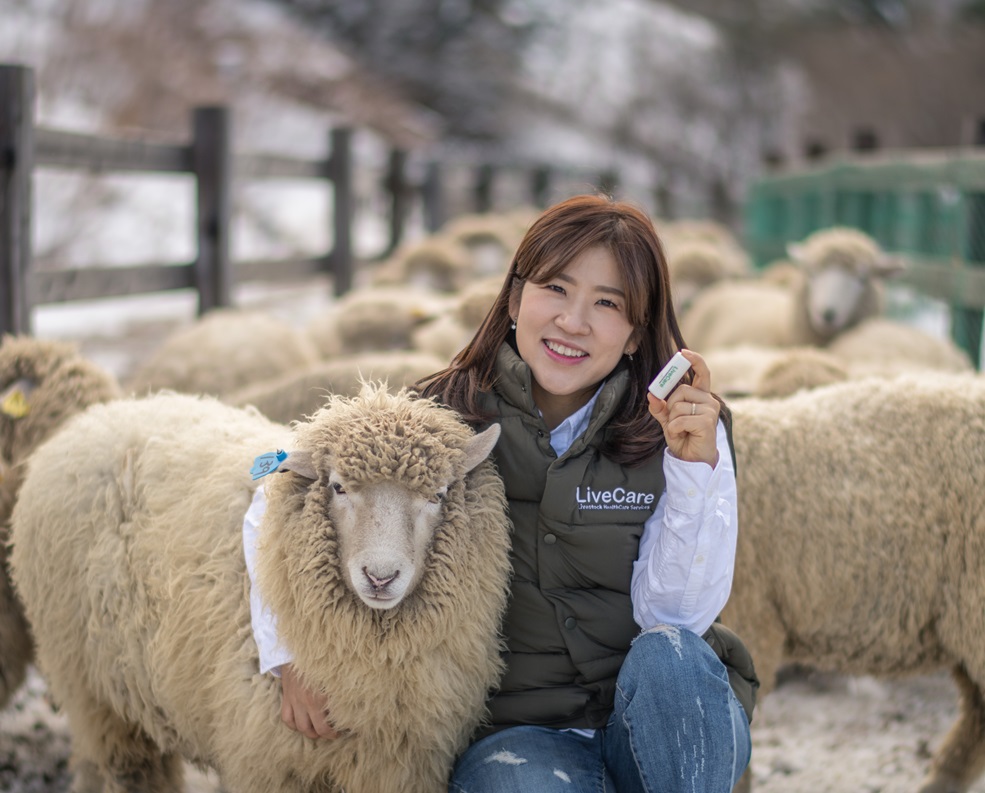 20191128 uLikeKorea 유라이크코리아 양羊 전용 바이오캡슐 개발 성공 1 - 와우테일