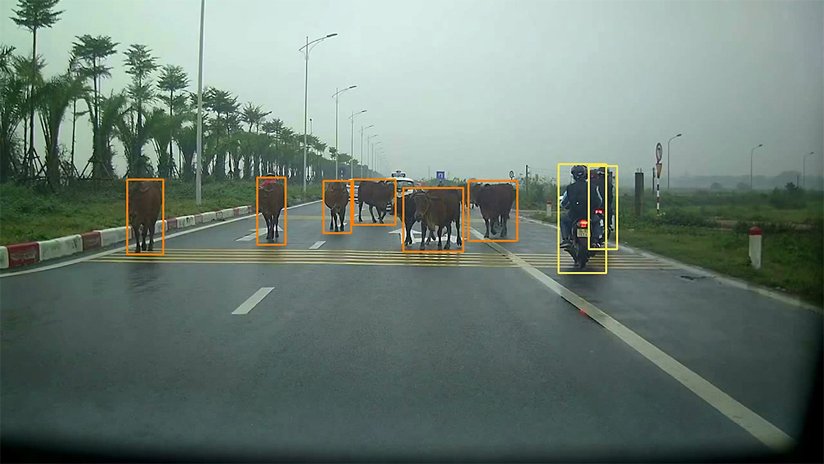 20200225 stradvision animal - 와우테일