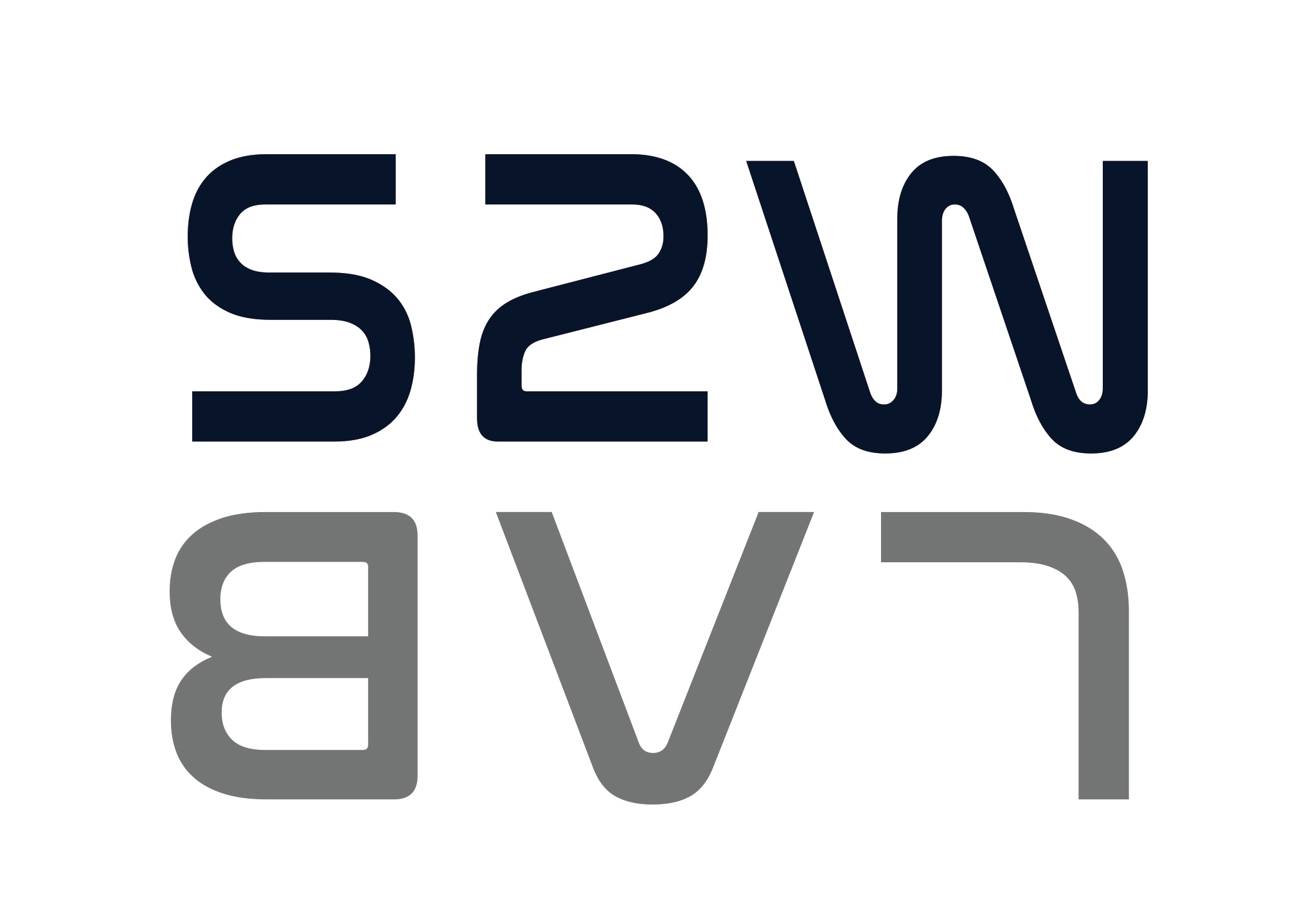 S2WLab logo - 와우테일