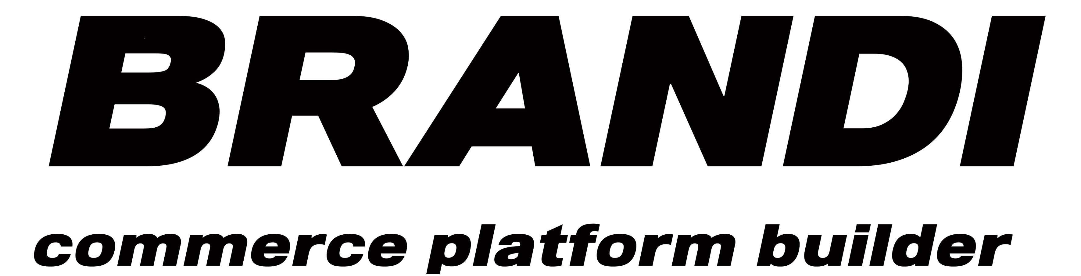 brandi logo - 와우테일