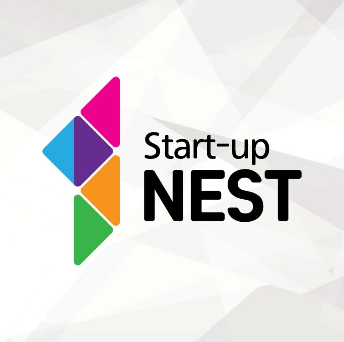startup nest logo - 와우테일