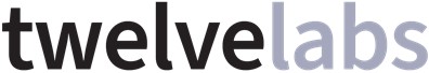 twelvelabs logo - 와우테일