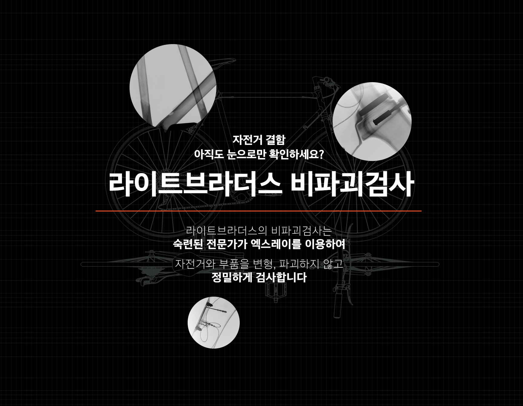 라브인증2 - 와우테일
