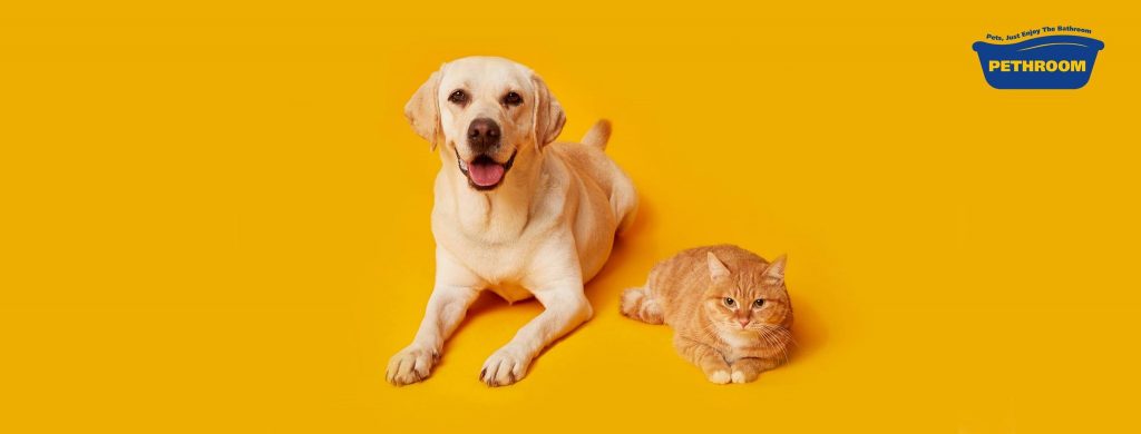 wowtale.net sk networks invests 28 billion krw in bmsmile south koreas leading pet care startup wowtale.net sk networks invests 28 billion krw in bmsmile south koreas leading pet care startup bmsmile - 와우테일
