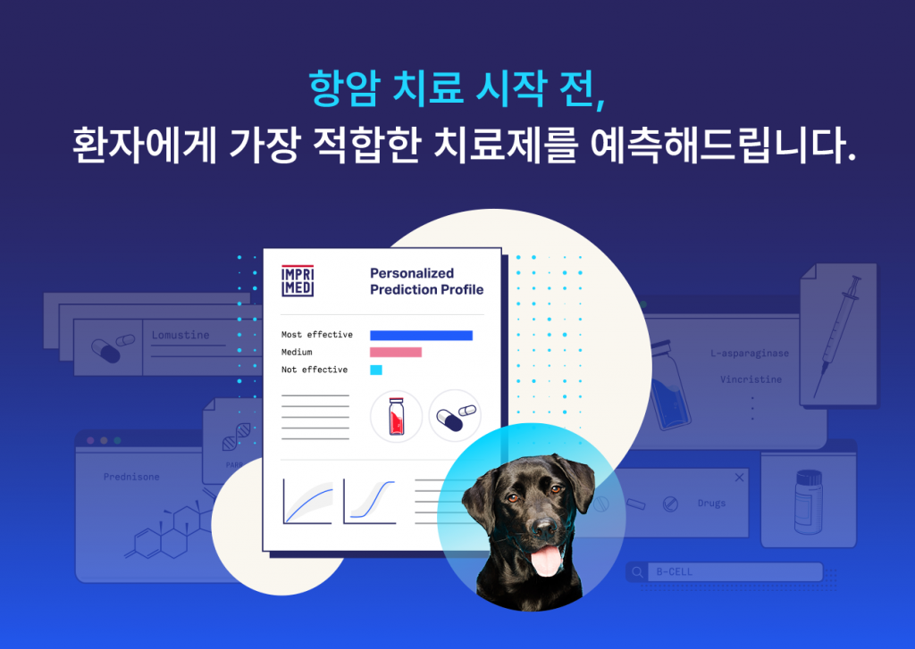 wowtale.net wowtale.net 21 - 와우테일