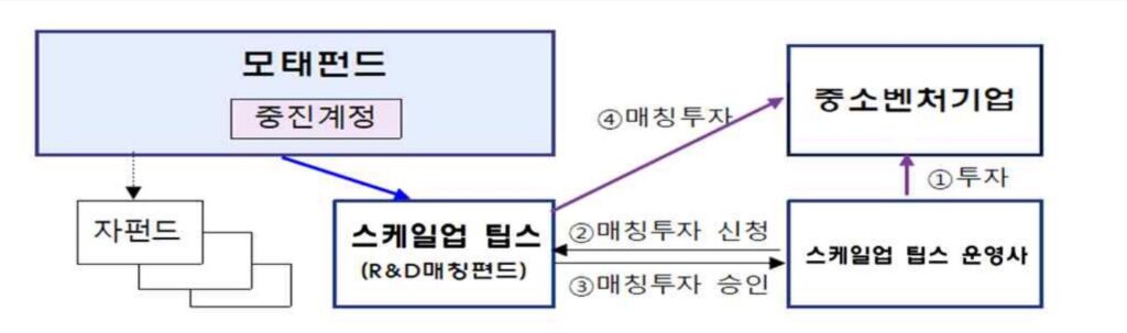 14 - 와우테일