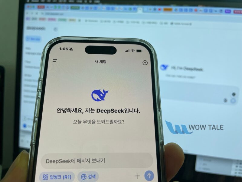 Deepseek main - 와우테일