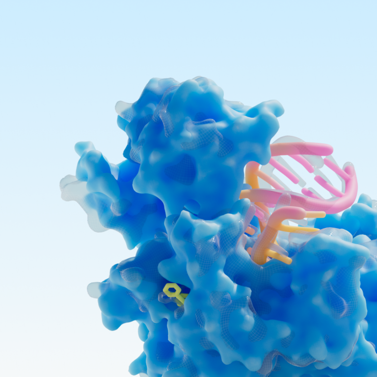 isomorphic labs image - 와우테일