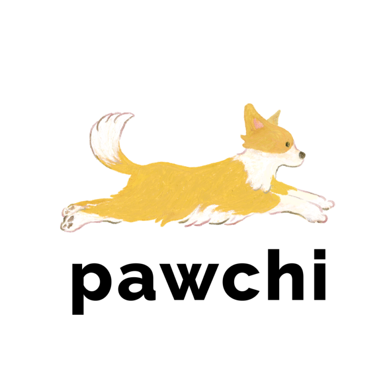 PAWCHI - 와우테일