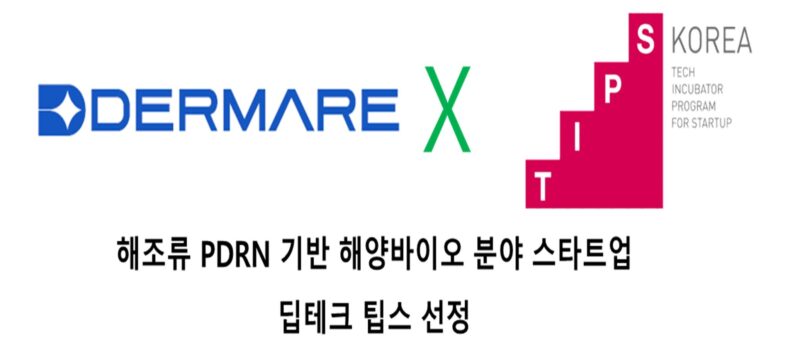 더마레, ‘딥테크 팁스’ 선정…의료 시장 진출 가속화 1 DERMARE1 - 와우테일