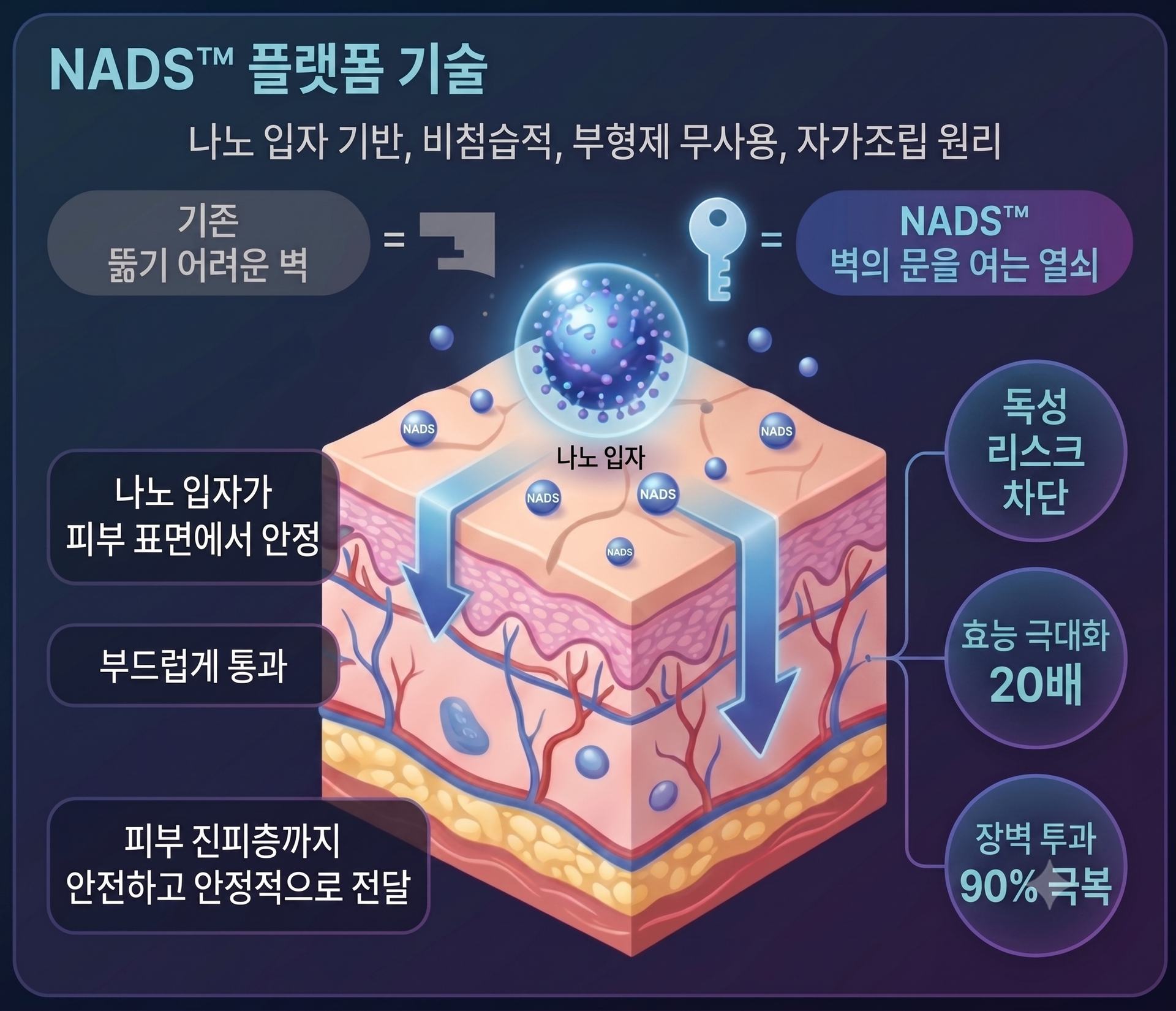 차세대 경피 약물전달 플랫폼 '더미온', 시드 투자 유치 1 차세대 경피 약물전달 플랫폼 '더미온', 시드 투자 유치